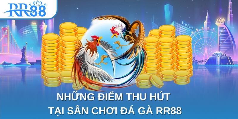 Những điểm thu hút tại sân chơi đá gà RR88