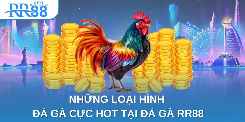 Những loại hình đá gà cực hot tại đá gà RR88